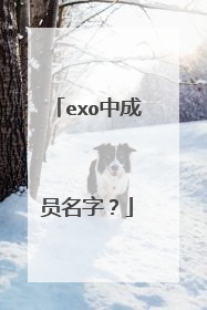exo中成员名字?