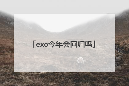 exo今年会回归吗