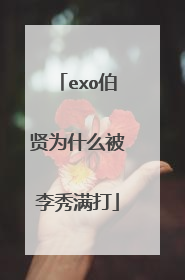 exo伯贤为什么被李秀满打