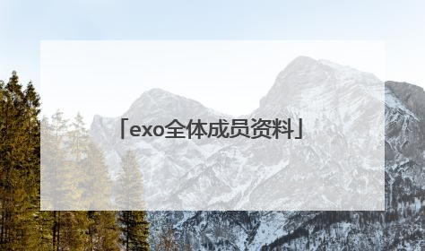 exo全体成员资料