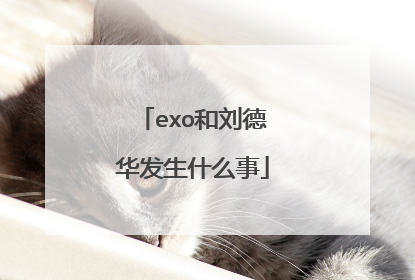 exo和刘德华发生什么事