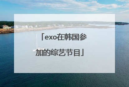 exo在韩国参加的综艺节目