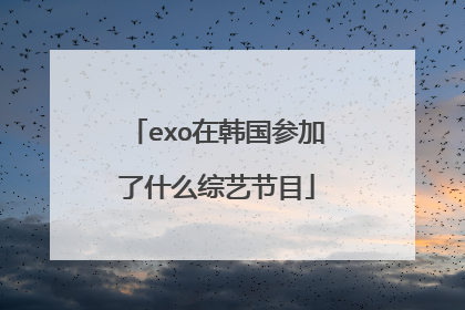 exo在韩国参加了什么综艺节目