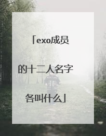 exo成员的十二人名字各叫什么