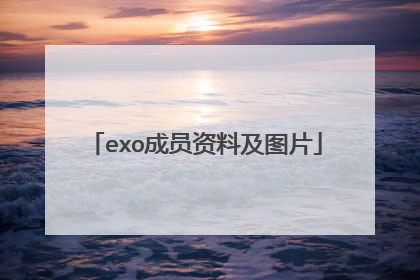 exo成员资料及图片