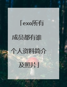 exo所有成员都有谁 个人资料简介及照片