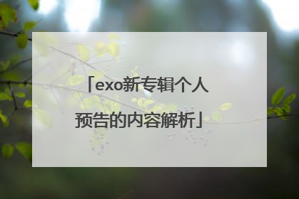 exo新专辑个人预告的内容解析