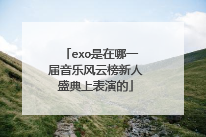 exo是在哪一届音乐风云榜新人盛典上表演的