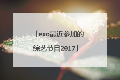 exo最近参加的综艺节目2017