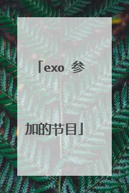 exo 参加的节目