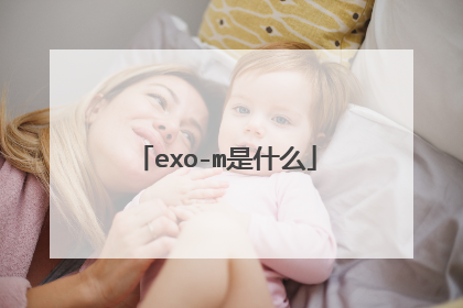 exo-m是什么