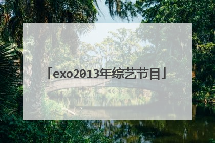 exo2013年综艺节目