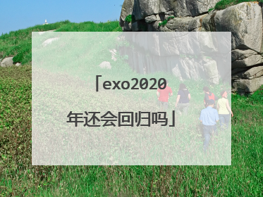 exo2020年还会回归吗