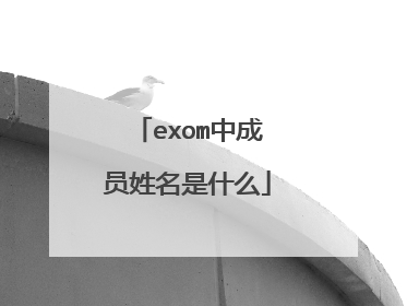 exom中成员姓名是什么