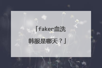 faker血洗韩服是哪天?