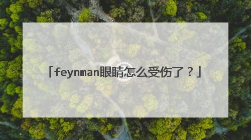 feynman眼睛怎么受伤了?