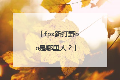 fpx新打野bo是哪里人？