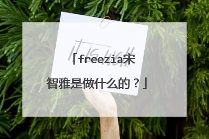 freezia宋智雅是做什么的?