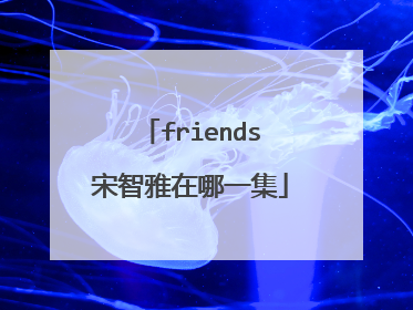 friends宋智雅在哪一集