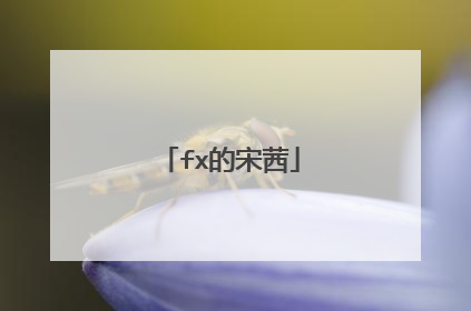fx的宋茜