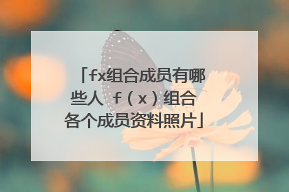 fx组合成员有哪些人 f（x）组合各个成员资料照片