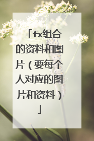 fx组合的资料和图片(要每个人对应的图片和资料)