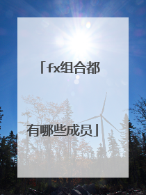 fx组合都有哪些成员