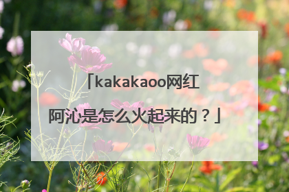 kakakaoo网红阿沁是怎么火起来的?