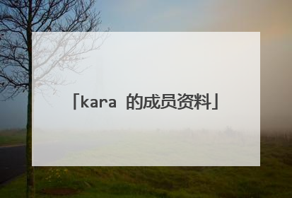 kara 的成员资料