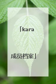 kara成员档案