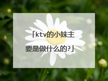 ktv的小妹主要是做什么的?