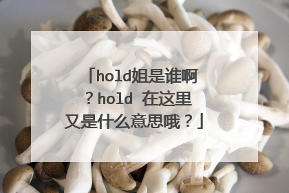 hold姐是谁啊?hold 在这里又是什么意思哦?
