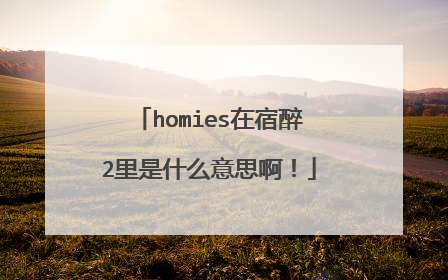 homies在宿醉2里是什么意思啊!