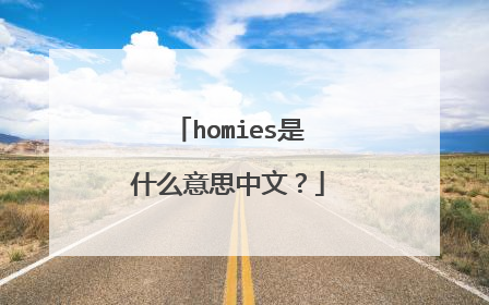 homies是什么意思中文？