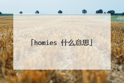 homies 什么意思