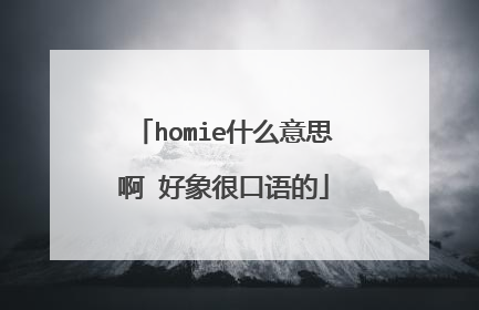 homie什么意思啊 好象很口语的