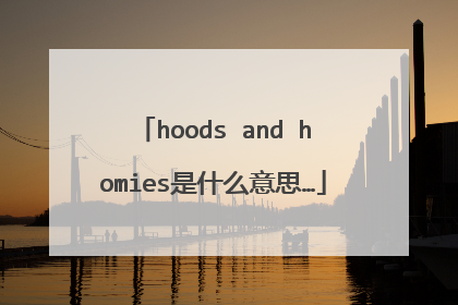 hoods and homies是什么意思…