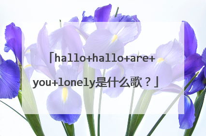 hallo+hallo+are+you+lonely是什么歌?