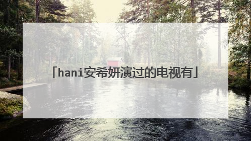 hani安希妍演过的电视有