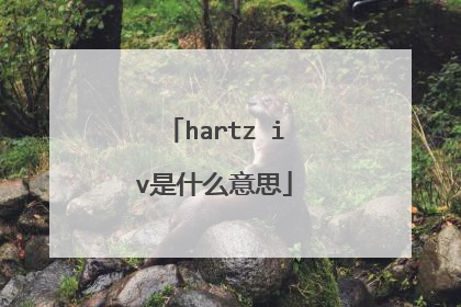 hartz iv是什么意思