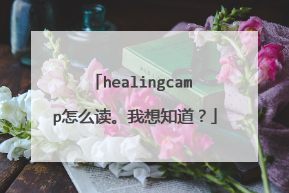 healingcamp怎么读。我想知道？