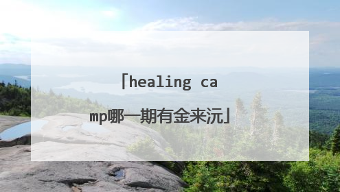 healing camp哪一期有金来沅