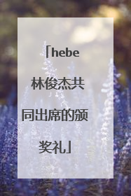 hebe 林俊杰共同出席的颁奖礼