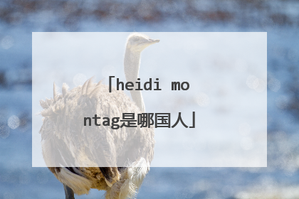 heidi montag是哪国人