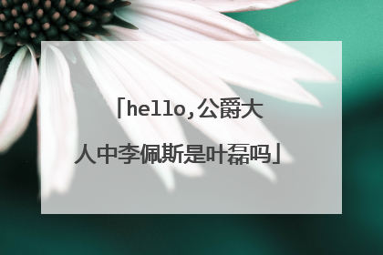 hello,公爵大人中李佩斯是叶磊吗