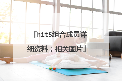 hit5组合成员详细资料;相关图片