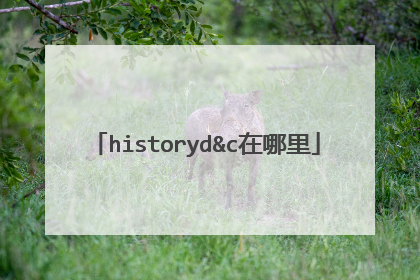 historyd&c在哪里