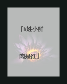 h姓小鲜肉是谁