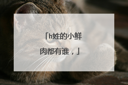 h姓的小鲜肉都有谁,
