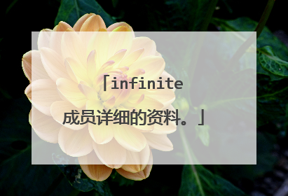 infinite成员详细的资料。